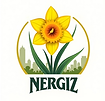 NERGIZ COMPANY
