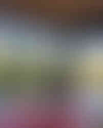 web_SitioCatetinho_LauraAguileras_AnaHelenaLima-49