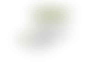 Imagem do WhatsApp de 2024-04-26 à(s) 18.42.15_0c4ffdab