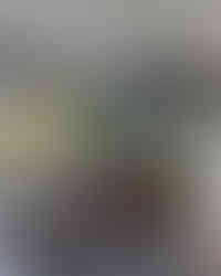 web_SitioCatetinho_LauraAguileras_AnaHelenaLima-16