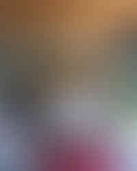 web_SitioCatetinho_LauraAguileras_AnaHelenaLima-45