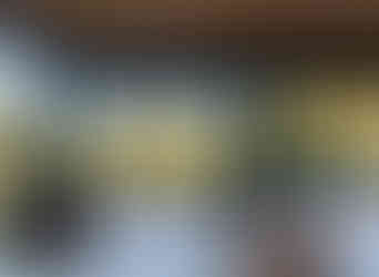 web_SitioCatetinho_LauraAguileras_AnaHelenaLima-50