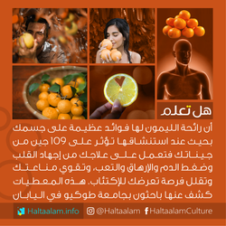 14581590_1202102289869368_2599211593272884227_n