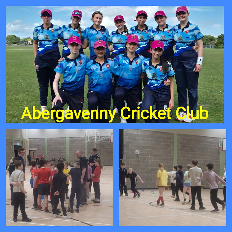 🌟 Abergavenny Cricket Club changing the Future for Women & Girls in Cricket! 🏏💙
