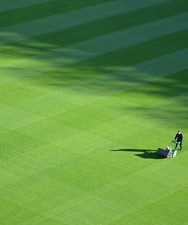 Large Lawn