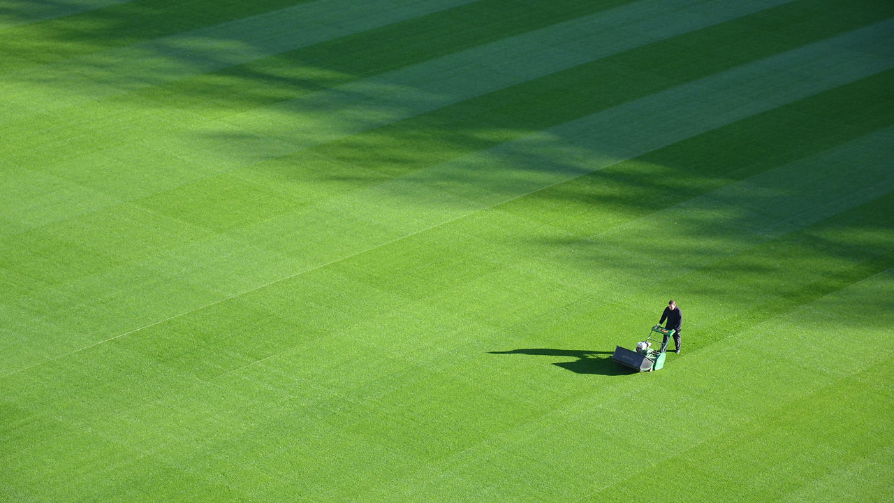 Large Lawn