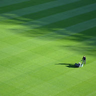 Large Lawn