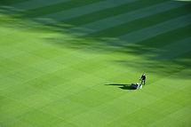 Large Lawn
