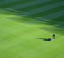 Large Lawn