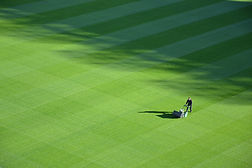 Large Lawn