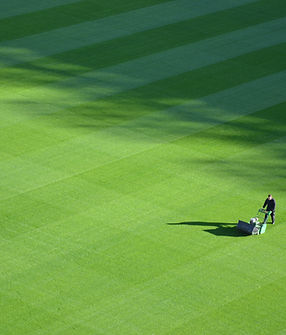 Large Lawn