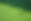 Large Lawn
