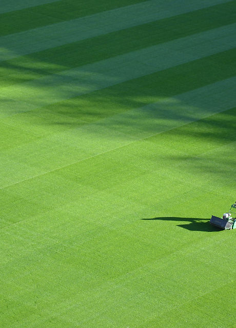 Large Lawn