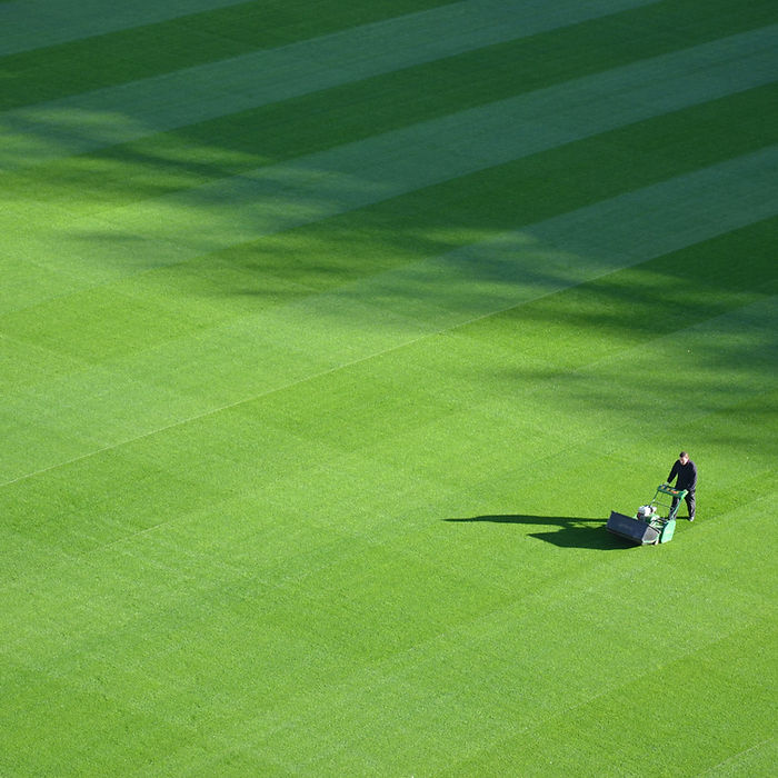 Large Lawn