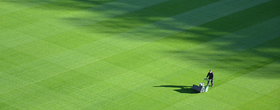 Large Lawn