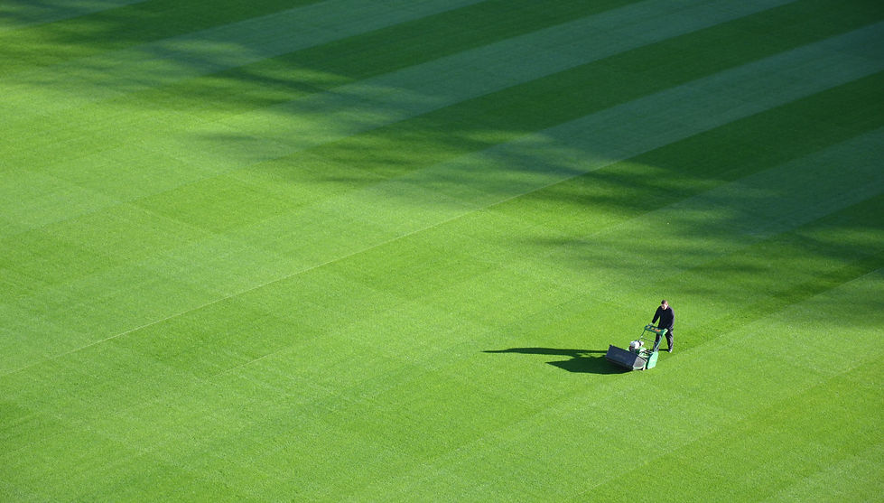Green Grass