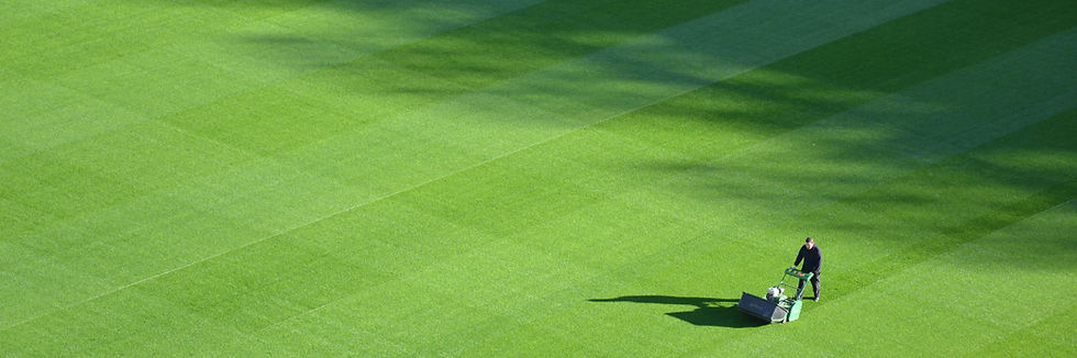 Lawn Maintenance Activity