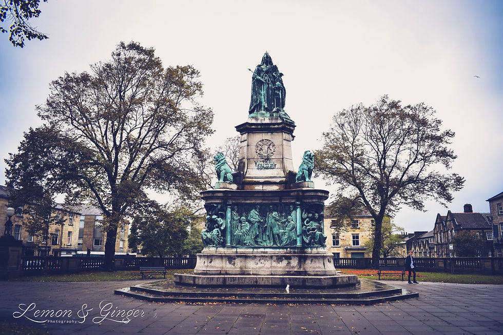 DSC_1013.jpg