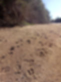IMG-20190703-WA0007.jpg