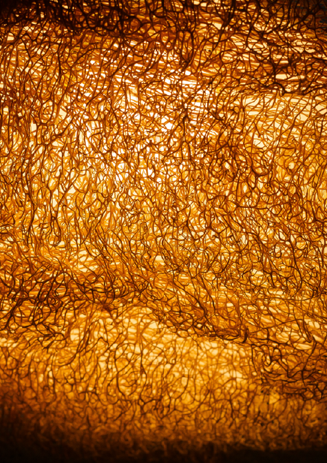 Illuminated textured luffa sculpture glowing warmly against dark background showing organic fiber pattern.