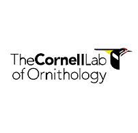 The Cornell Lab of Ornithology logo