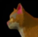 Cat_edited.jpg