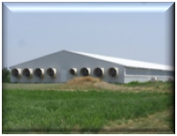Indoor Housing