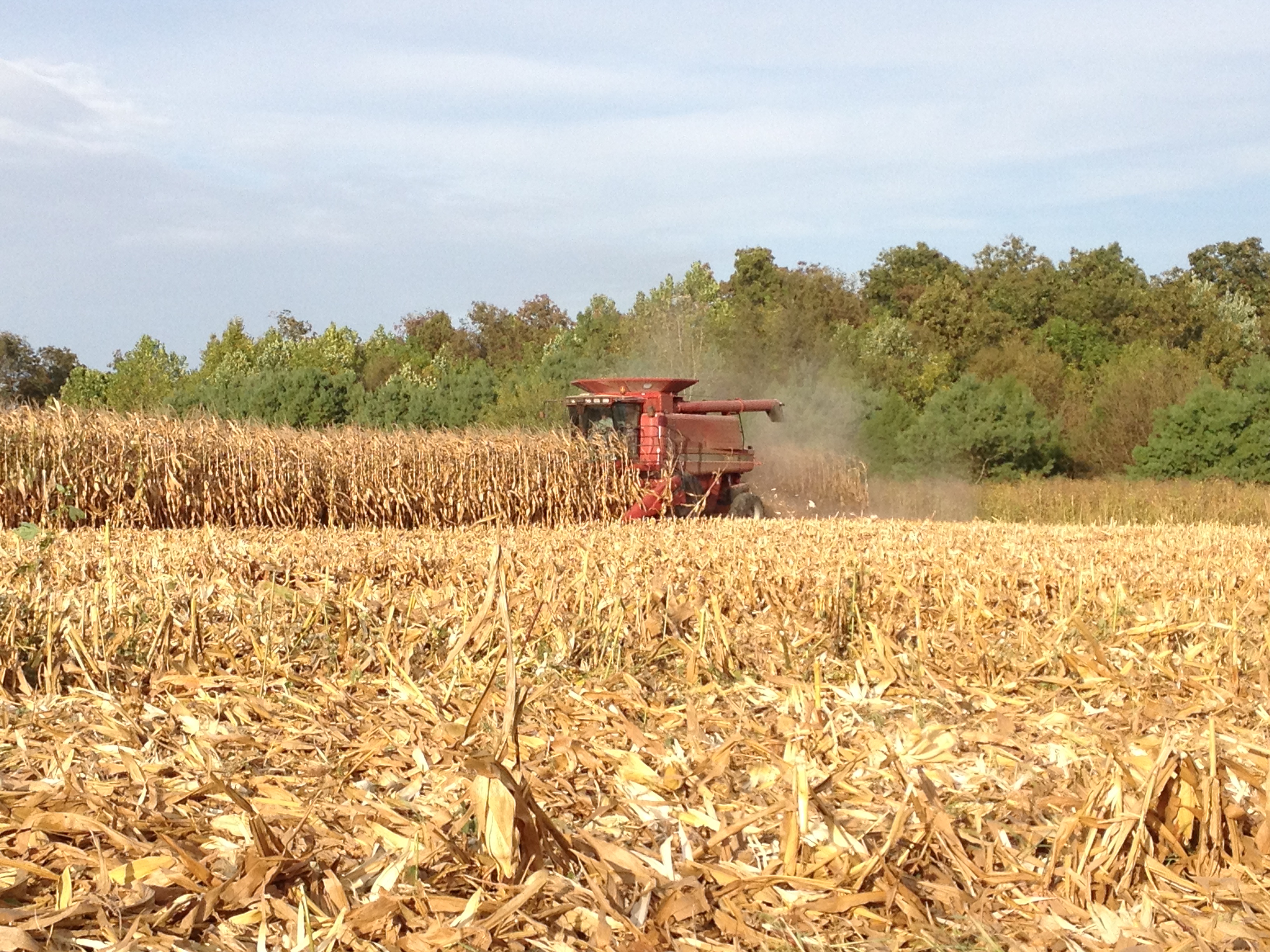 Local Meat LT Farm Meats Greencastle Indiana