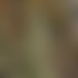 The Gym Is A Market-Place