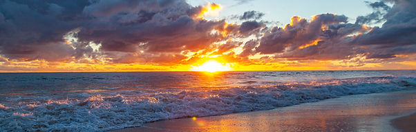 website header 10 - AdobeStock_417794171_edited.jpg