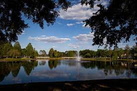 Barnett Park Clean- Up Hosted by Pine Hills Safe Neighborhood Partnership