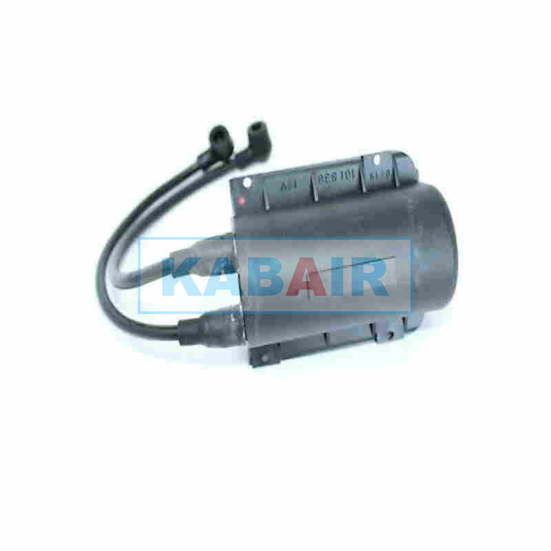 DBW 2010 Electronic Ignition Unit - 12V - 101838