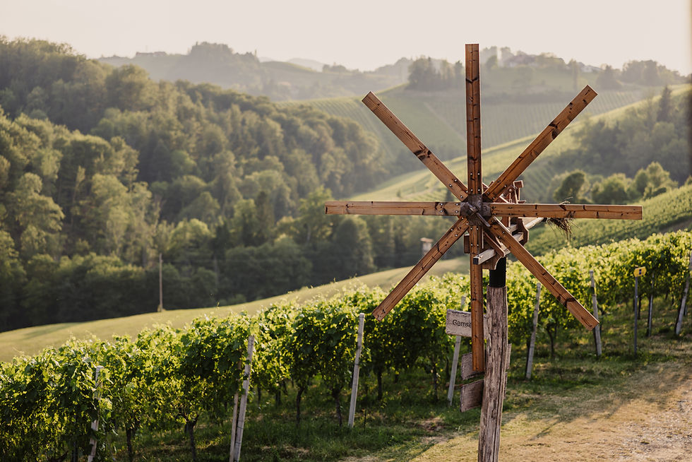 Simon Fortmüller-312.jpg