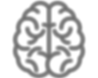 Brain