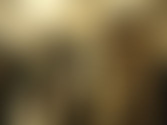 סומליה: הג'יהאדיסטים של א-שבאב הגבירו את התקפותיהם על מטרות של הממשלה הפדרלית הסומלית (SFG) במוגדישו. הארגון ביצע פיגועי התאבדות בשני בסיסים צבאיים נפרדים במוגדישו, בירת סומליה.