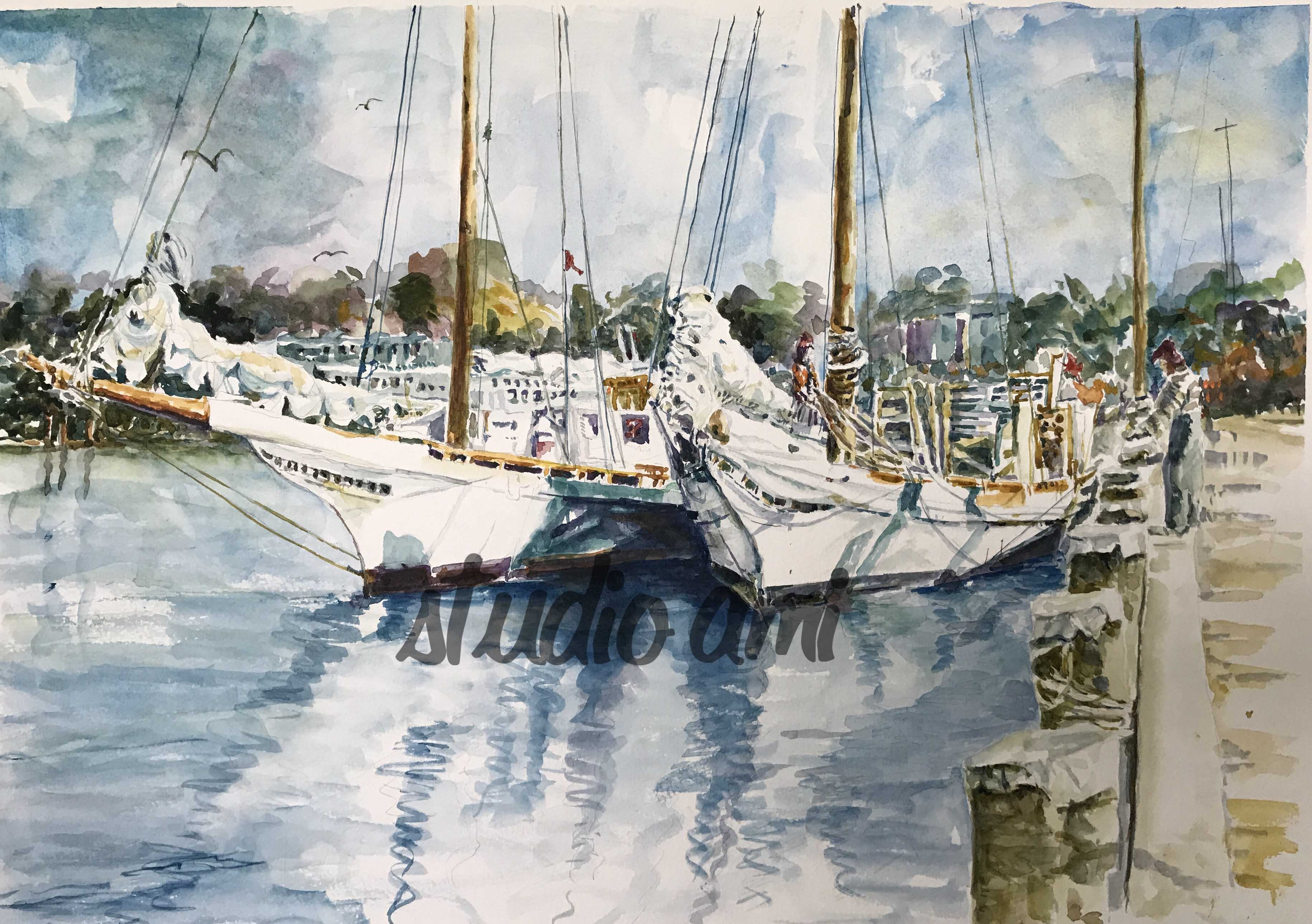 Shoreline Muse