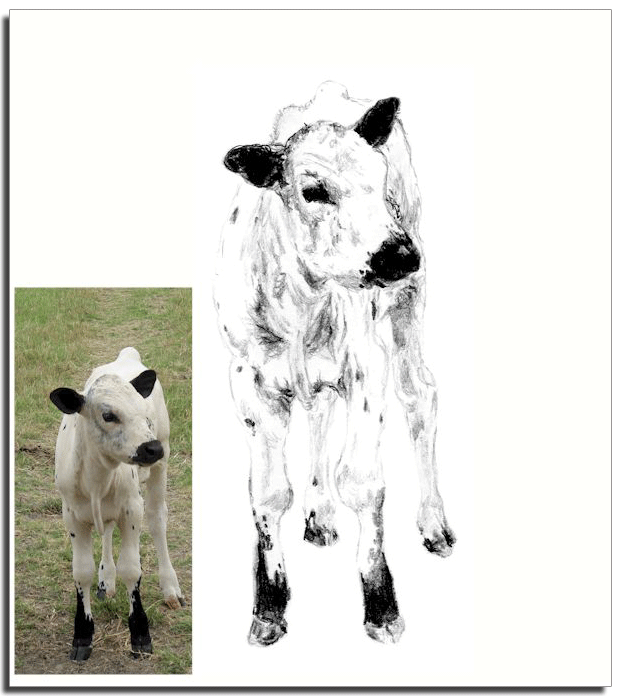 022 One of His Herd