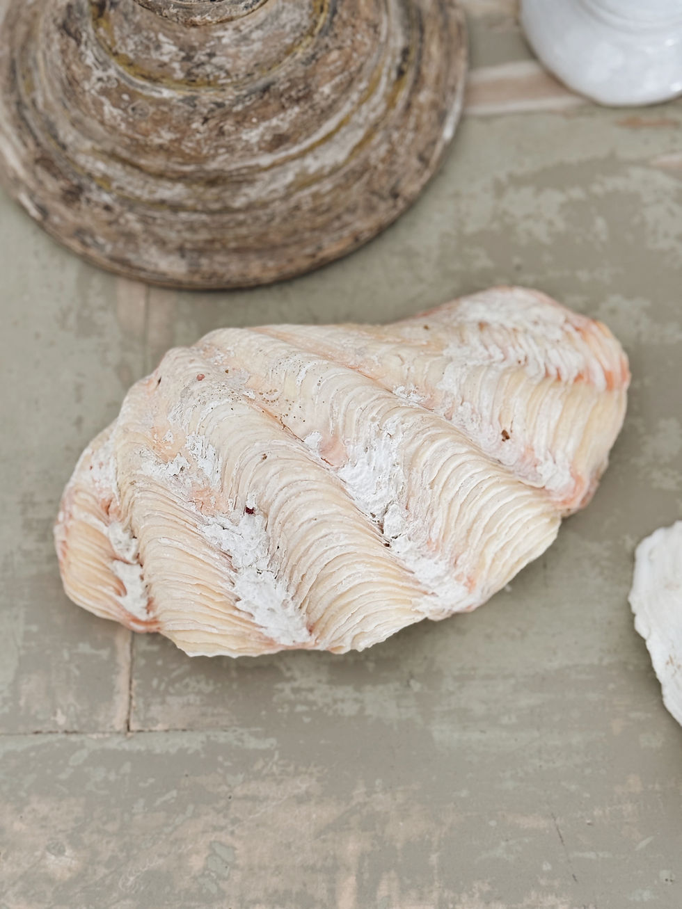 Miniature : Moitiés de bénitier  