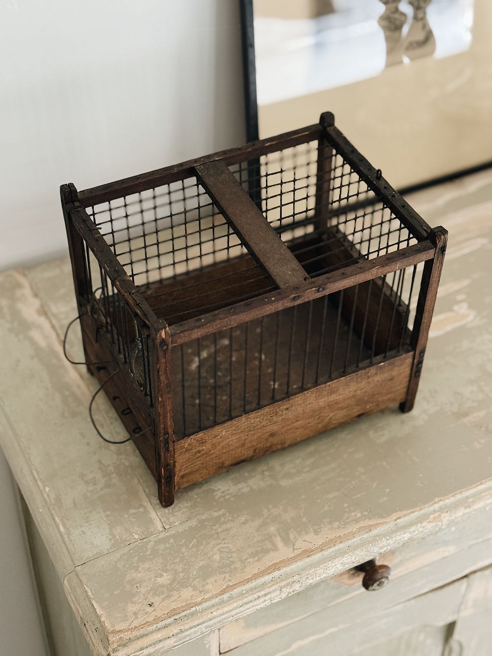 Miniature : Cage à oiseaux en bois