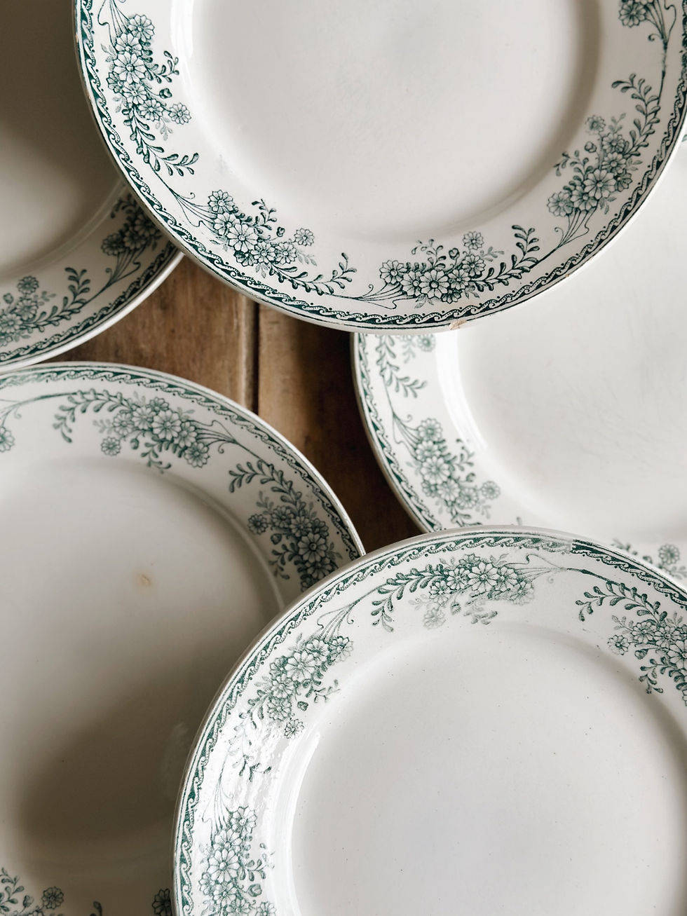 Miniature : Assiettes plates terre de fer Saint Amand, modèle Christiane