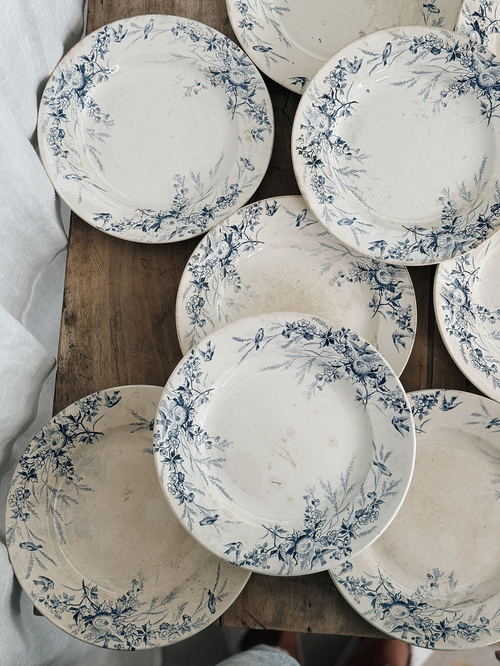 Miniature : Assiettes plates Creil et Montereau