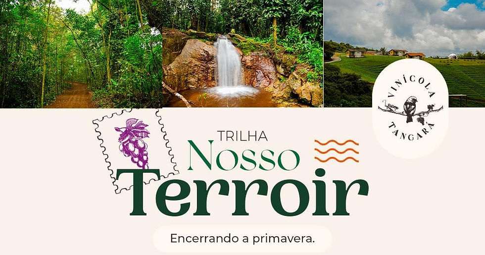Trilha Nosso Terroir