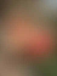 בלינצ'סים קלים ודלים בקלוריות