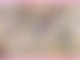 えびせんべいの里