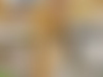 Teambuilding nieuwe co-trainers.