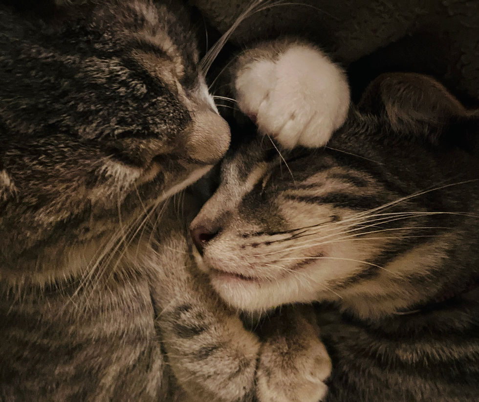 Snuggle