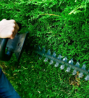 Diseño sin tÃtulo(3).jpg