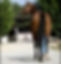centre equestre poney club