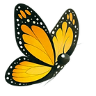 Screen Shot 2020-07-19 at 10.59.44 AM (1).png