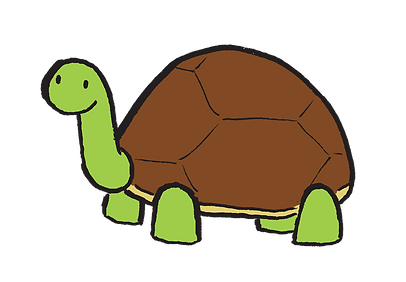 turtle1 copy.png